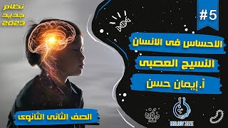 5 | شرح درس الاحساس فى الانسان (النسيج العصبى) | احياء تانيه ثانوى الترم الثانى 2023 | إيمان حسن ?