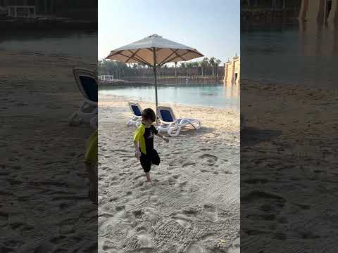 Dolphin Bay – Atlantis /Swim With Dolphins In Dubai