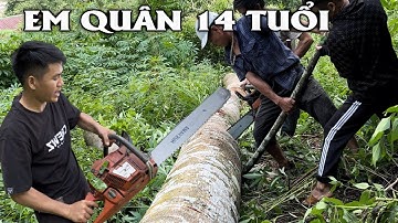 EM QUÂN 14 TUỔI CÔ ĐƠN TRÊN NÚI  . ĐI VÀO RỪNG GIÀ ĐỐN HẠ NHỮNG CÂY CỔ THỤ CAO NHẤT VỀ LÀM NHÀ