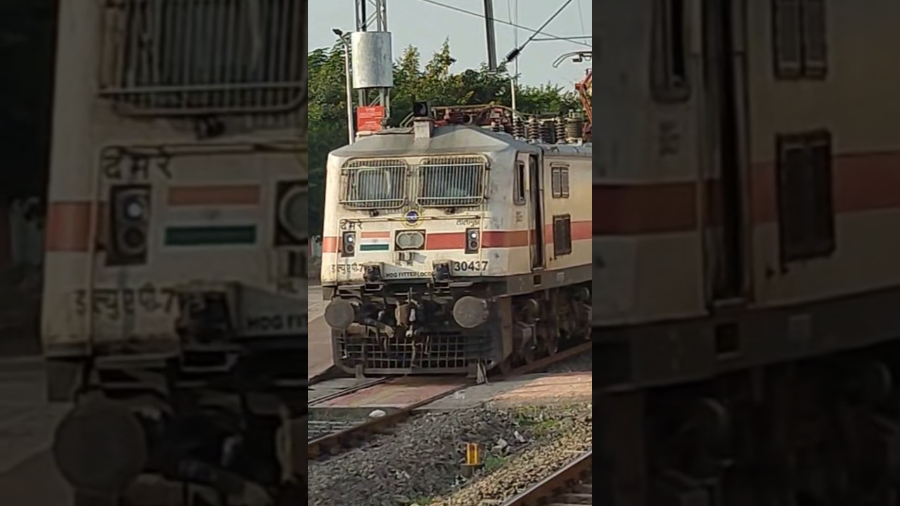 LGD WAP-7 12719 Jaipur - Hyderabad SF Express