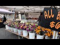 Claremont, California Farmers &amp; Artisans Market 2021 Walking Tour (HD 1080p)