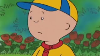 Ruca em Português | Caillou - Caillou Vai Para a Lavagem do Carro - Episódio Completo thumbnail