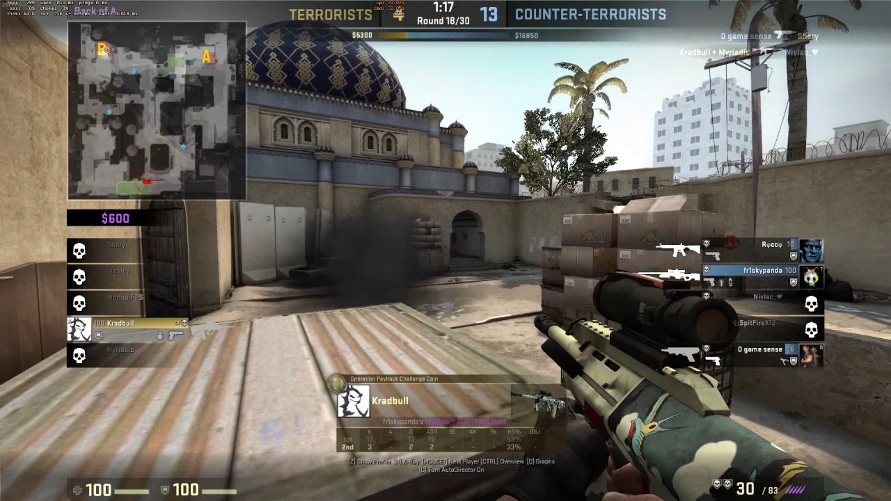LE-LEM csgo :/ - YouTube