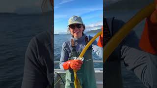 Why Are People Eating This Ocean Tube?