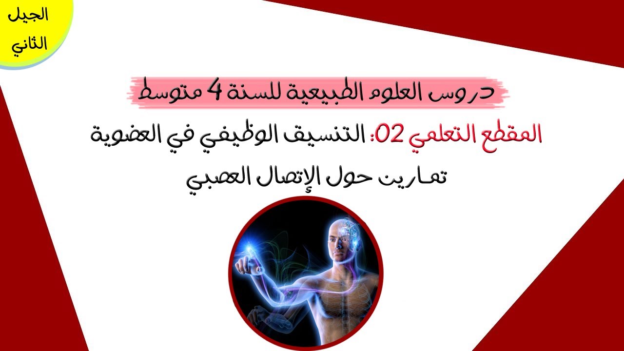 تمارين حول الإتصال العصبي | رابعة متوسط