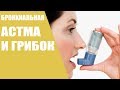 Бронхиальная астма и грибок