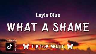 Leyla Blue - What A Shame (Lyrics) The only thing that's left to say [TikTok Song]