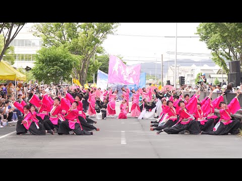 [4K] 常笑 『進花(すすみ)』初披露 2回目 　豊川市民まつり おいでん祭 2023　ダンスフェス　ケヤキ会場
