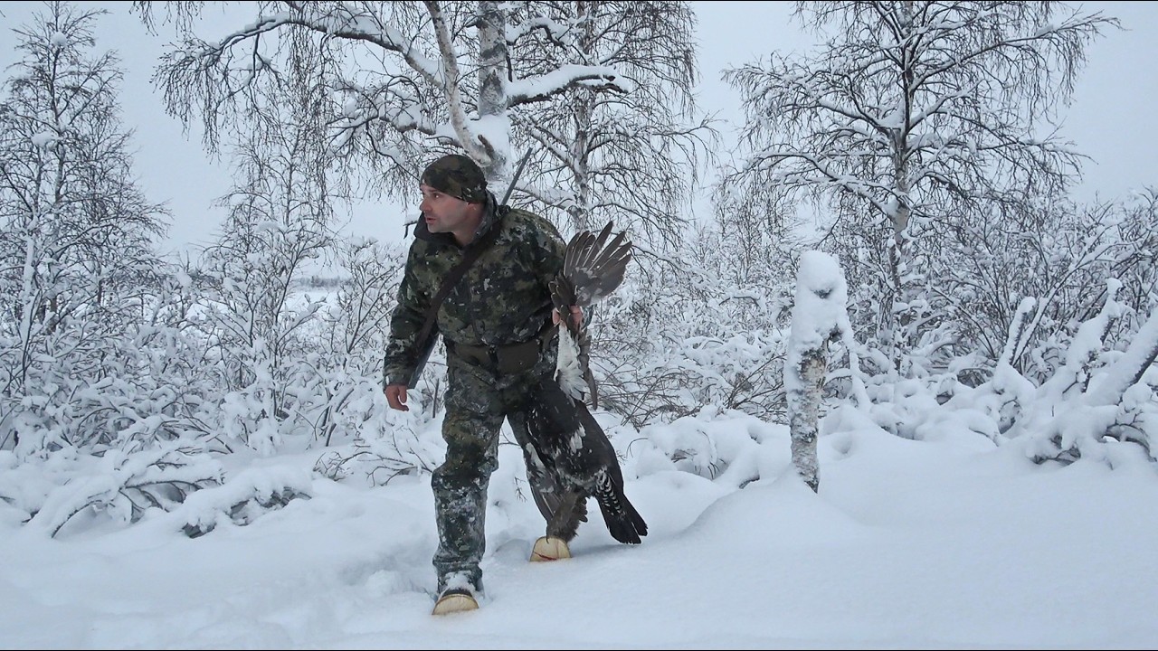 ОХОТА ЗИМОЙ НА ГЛУХАРЯ С МЕЛКАШКОЙ. ЗАБРЕЛ В СТАЮ ПТИЦ. СЛОЖНОЕ СКРАДЫВАНИЕ В СНЕГУ ПО ПОЯС.