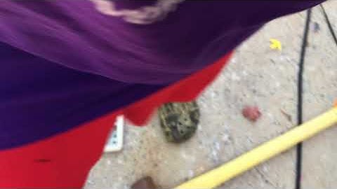 Smashing a Sharp EL-1197P Electronic Calculator Part 3