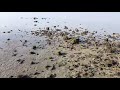 Happy Birthday Baby 💙🌊 2020   Shot with a Mavic Mini Drone