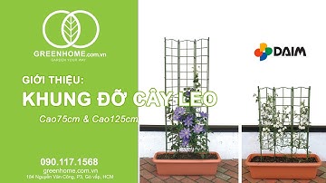 Khung đỡ hoa leo, cây leo C75xR45cm  -  Gìàn hoa hồng bụi, các loại cây hoa leo - Daim Nhật Bản