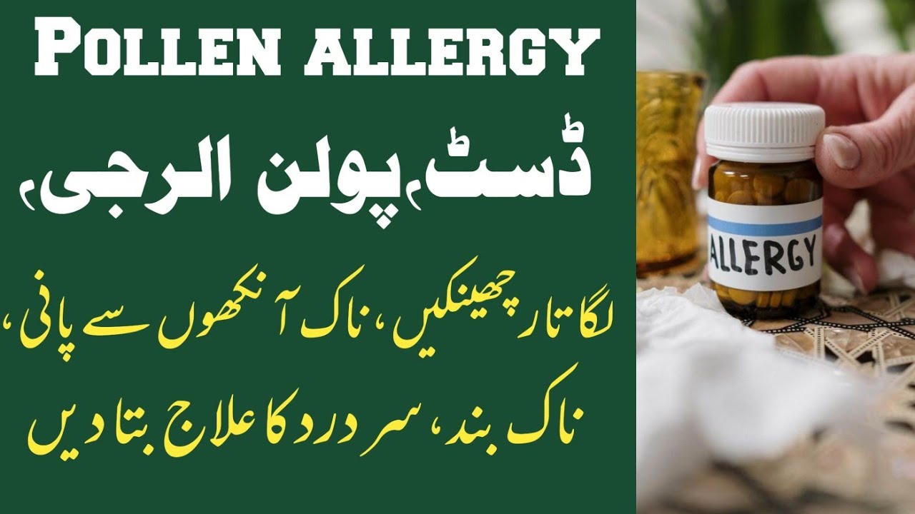 pollen allergy treatment in homeopathy First Health Care Official YouTube