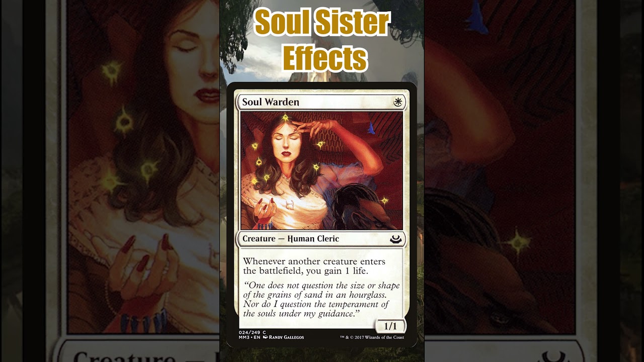 Top Five Best MTG Life Gain Support Cards for Commander