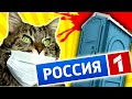 РОССИЯ 1 - РЕПОРТАЖИ для КОЛХОЗАНОВ [ Треш Обзор ]