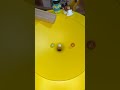 🐢🐢🐢 Marbles Run ASMR Haba Funnel Jungle Marble Run Race #chrome #oddlysatisfying #fyp #habaslope 🐢🐢