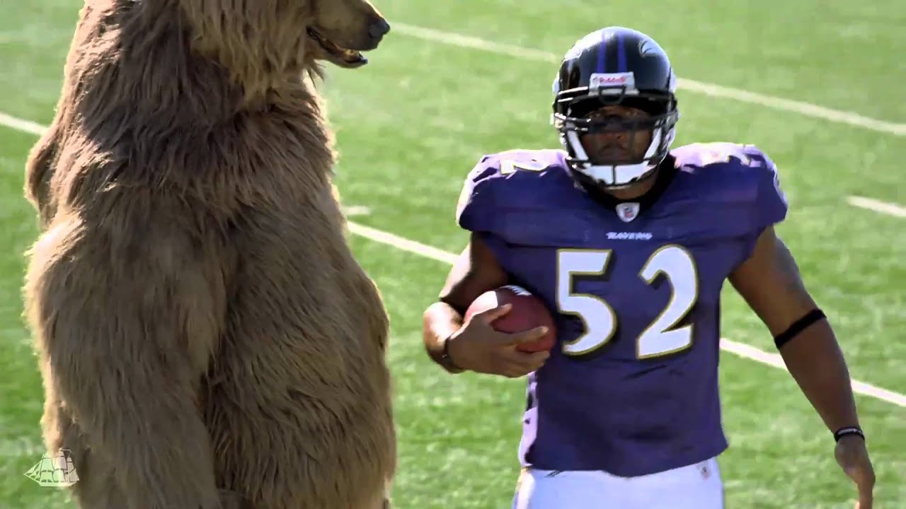 Old Spice Bear starring NFL Superperson Ray Lewis YouTube