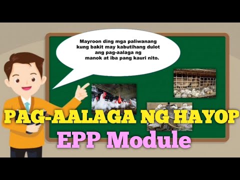 Video: 5 Hindi Kapani-paniwala Na Mga Paraan Ng Agham Ng Beterinaryo Maaaring Makatulong Sa Aming Mga Alagang Hayop