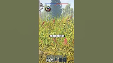 How to effectively play the Leopard 1 in Warthunder. #warthunder #warthundertips