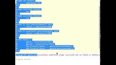 struct dentro de structs  | golang tutorial en español