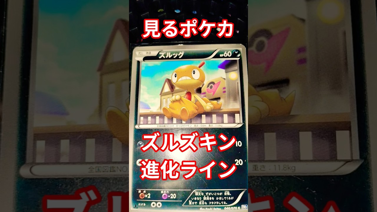 見るポケカ #ポケモンカード #ポケカ再販最新情報 #ポケカ #pokemon#pokemoncards #見るポケカ