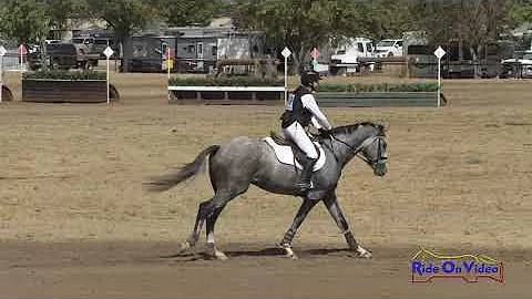 149XC Deborah Rosen on Count Your Steps NBS Traini...