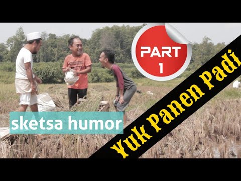 Dari gabah jadi beras // Begini proses singkatnya //part2