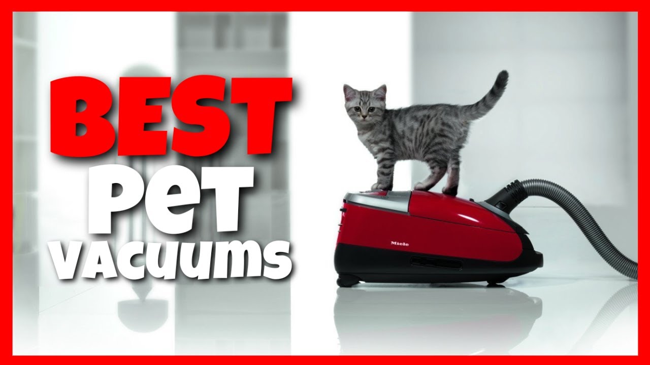 The Top 5 Best Pet Vacuum (2022) YouTube