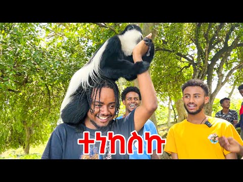 አሞራ ገደል ጉሬዛ አበላን Hawassa Vlog