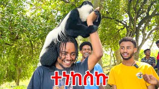 አሞራ ገደል ጉሬዛ አበላን🇪🇹 Hawassa Vlog