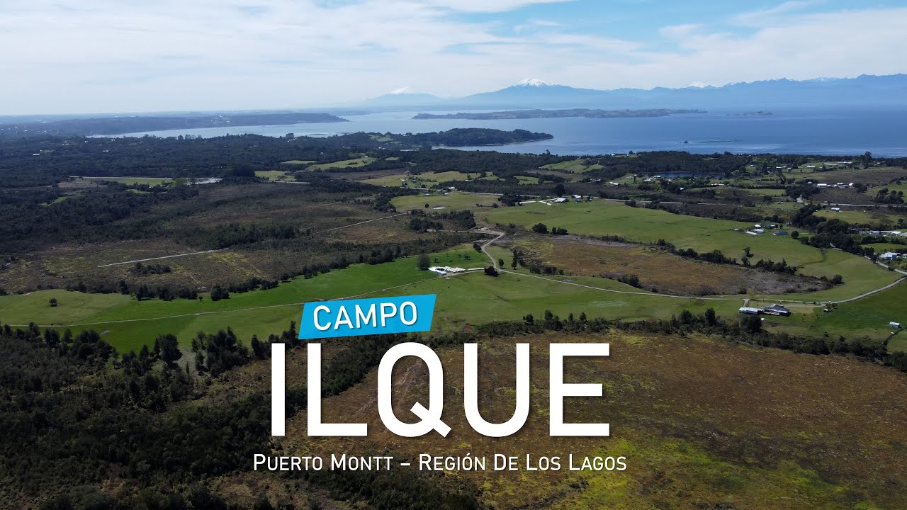 Campo Ilque - Puerto Montt - Región de Los Lagos