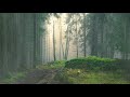 [環境音/ASMR]雨の降る音、生活音、森の音3時間/自然音