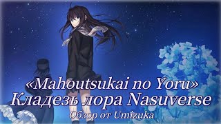 Ведьма святой ночи - Кладезь лора Насуверса [Обзор] | Mahoutsukai no Yoru [Перевод от Living FLCL]