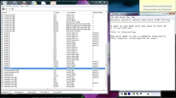 Malware analysis - detect open port with TCPview