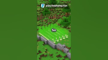 How to get started on the Lifesteal #minecraft #minecraftshort #freshsmp #minecraftmemes