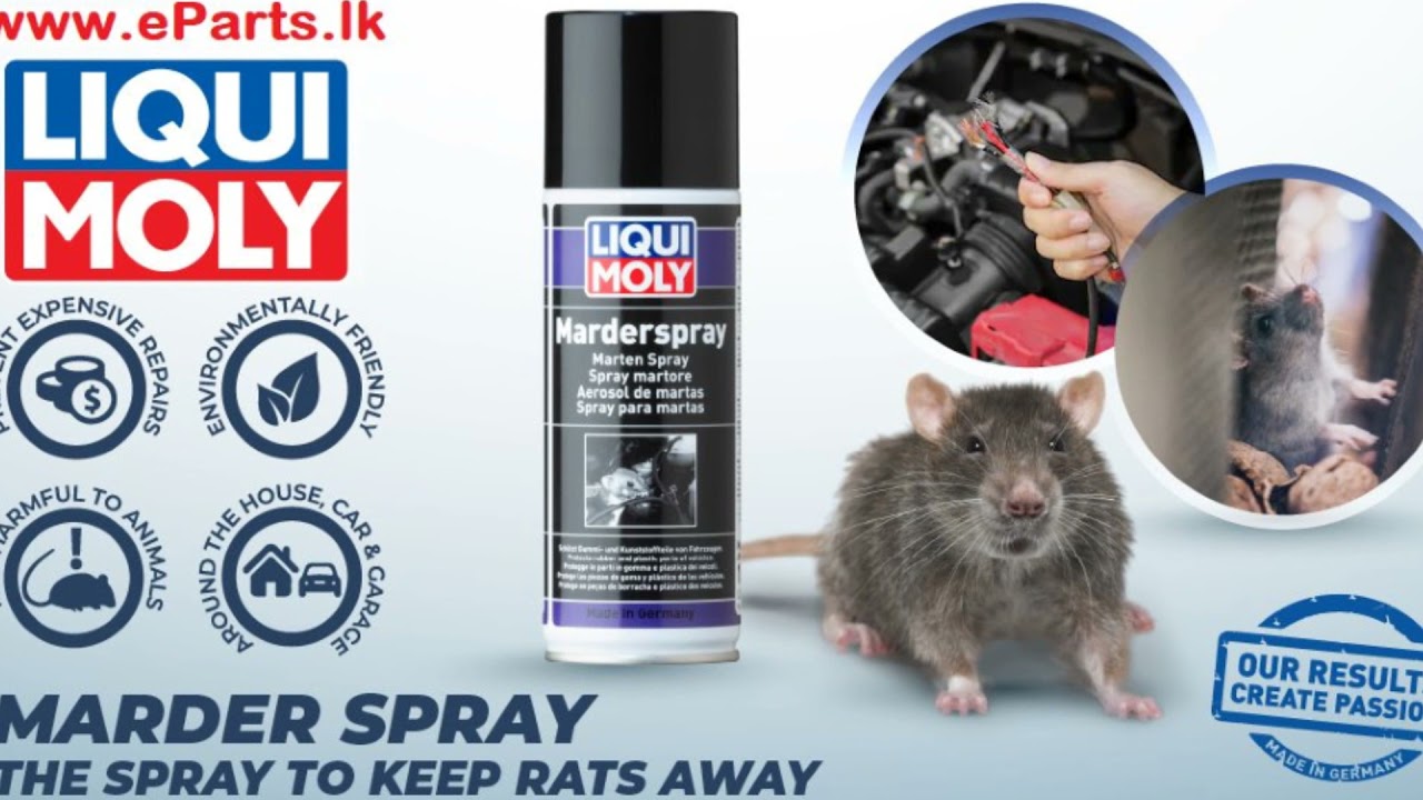 How to Apply Liqui Moly Marder Spray - eparts.lk 