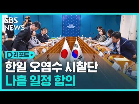 오염수 시찰단 &amp;#39;나흘 일정&amp;#39; <strong>합의</strong>…&amp;quot;세부사항 추가 조율&amp;quot; / <strong>SBS</strong> / #D리포트