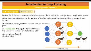 Famous Module 9: Vanishing Gradient Problem  I - Explaining loss function backpropagation and early layers Net Worth