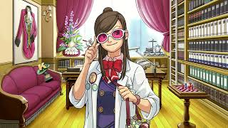 Phoenix Wright: Ace Attorney - Episode 5 - Rise from the Ashes - Day 2 Investigation [No Commentary]