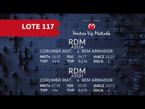 LOTE 117 Ventres Vip 2021