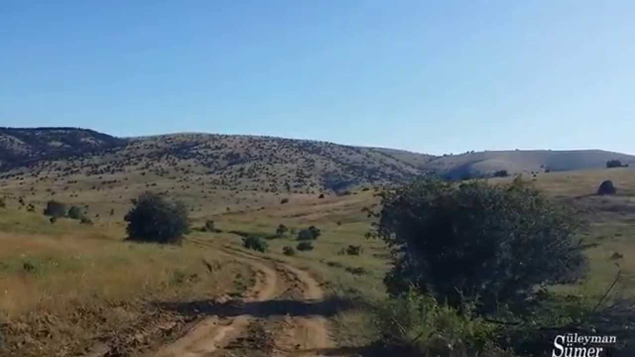 Hadi Yaylaya, Pikniğe Gidiyoruz