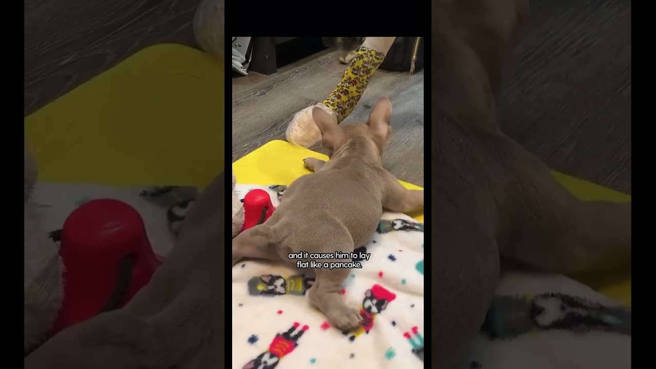 Changing His Life😱 