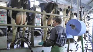 Carousel milking GEA Westfalia 60 stands AutoRotor