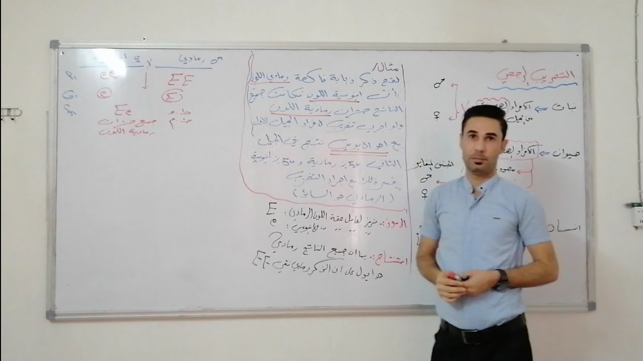 التضريب الرجعي.. الجزء الثاني