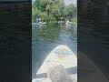 Swimming with the fish