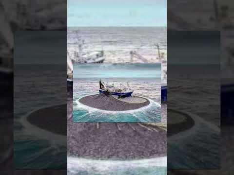 سفينة صيد أوروبية في المياه الموريتانية 