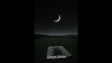 #quran #ماهر_المعيقلي #تلاوة_خاشعة #تيك_توك #اكسبلور #حالات_واتس #دويتو #راحة_نفسية #quran_karim