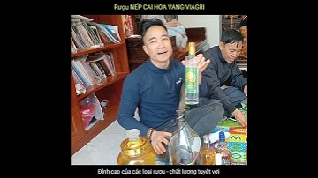 Khai xuân Quý Mão với 7 loại rượu - Chất nhất vẫn là Viagri  #short