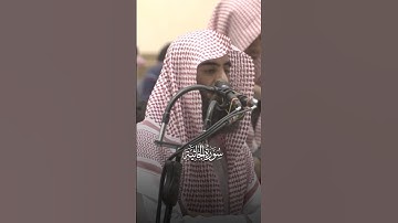 تلاوة خاشعة من سورة الجاثية 💙#قرآن#تلاوات#تلاوة#محمد_اللحيدان#النبرة_اللحيدانية#الجاثية#تلاوة_خاشعة