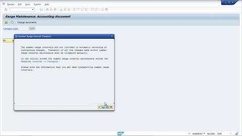 Student Practice Session| Document Number Range in SAP FICO